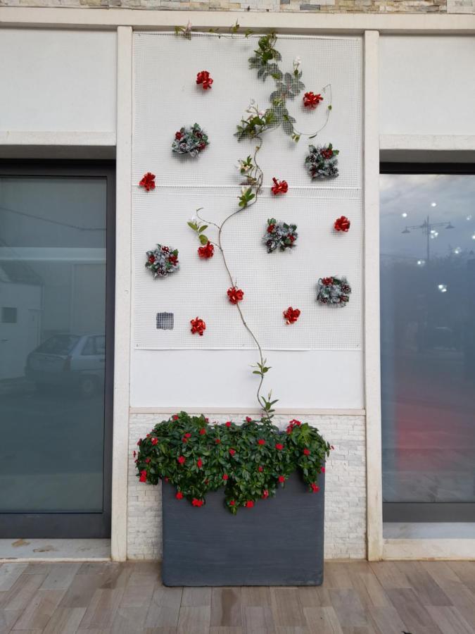 Dimora Palma Βίλα Αλμπερομπέλο Εξωτερικό φωτογραφία